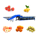 Fruits Vegetables Sizes Sorting Machine